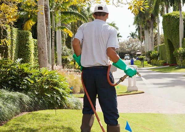 About Sherman TX Pest Control